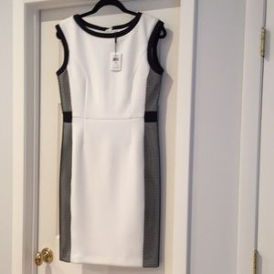 Calvin Klein white and black color block dress